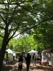 ポラーノまつり20170603_4 ポラーノまつり20170603_4