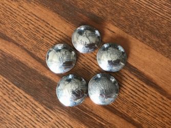 アメリカンコインコンチョ5種