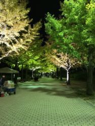 20181028_2_あづまTeshi-got市場 20181028_2_あづまTeshi-got市場